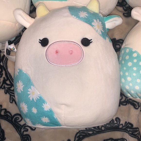 Belana the cow squishmallow bundle of 5 different cow squishmallows - Picture 2 of 6
